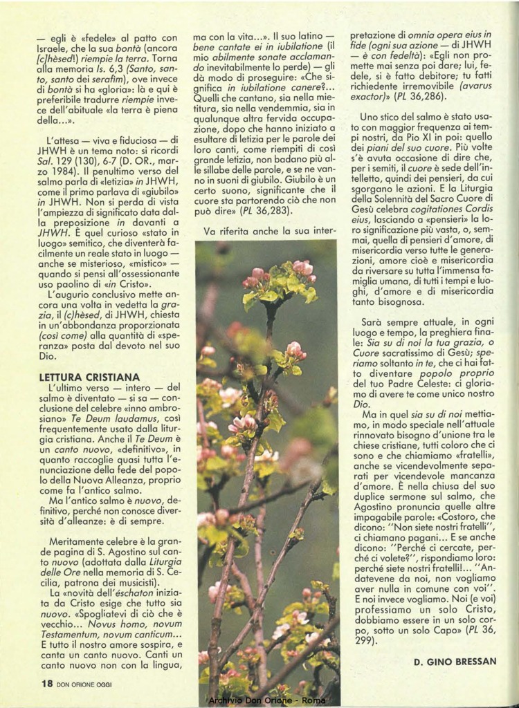 Don Orione oggi, 1990, 02, pagina 18