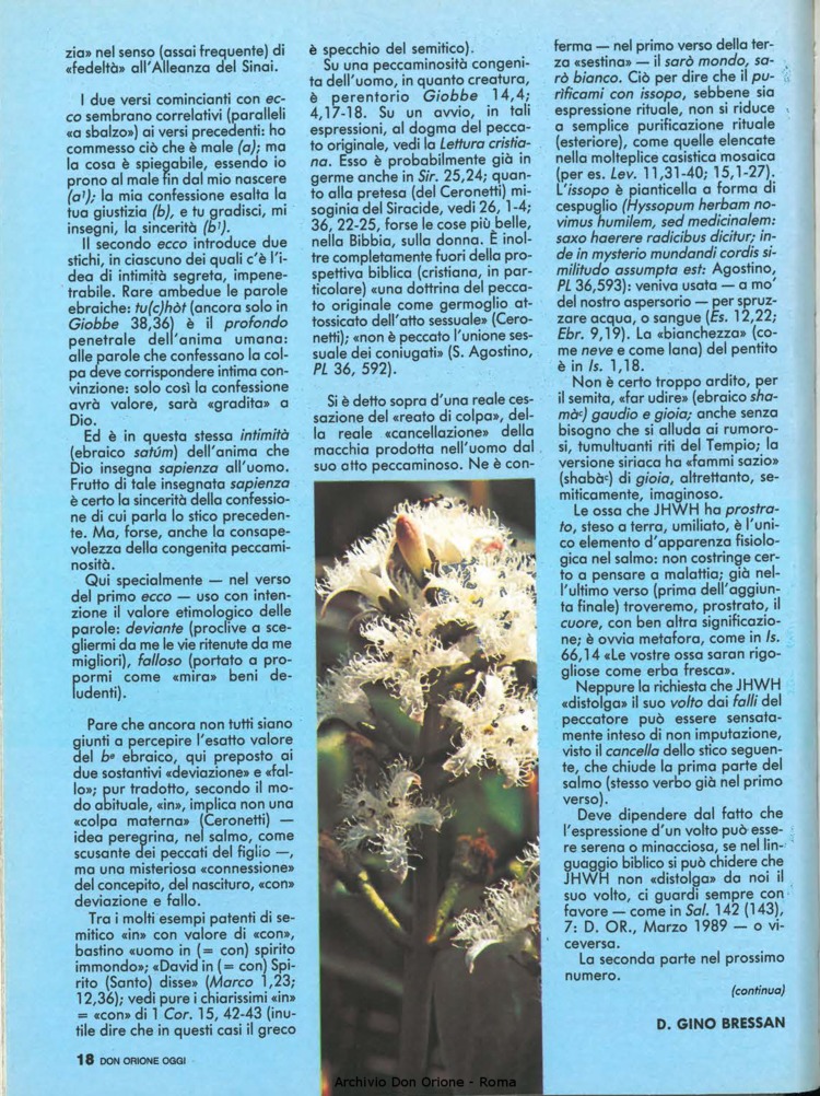 Don Orione oggi, 1990, 03, pagina 18