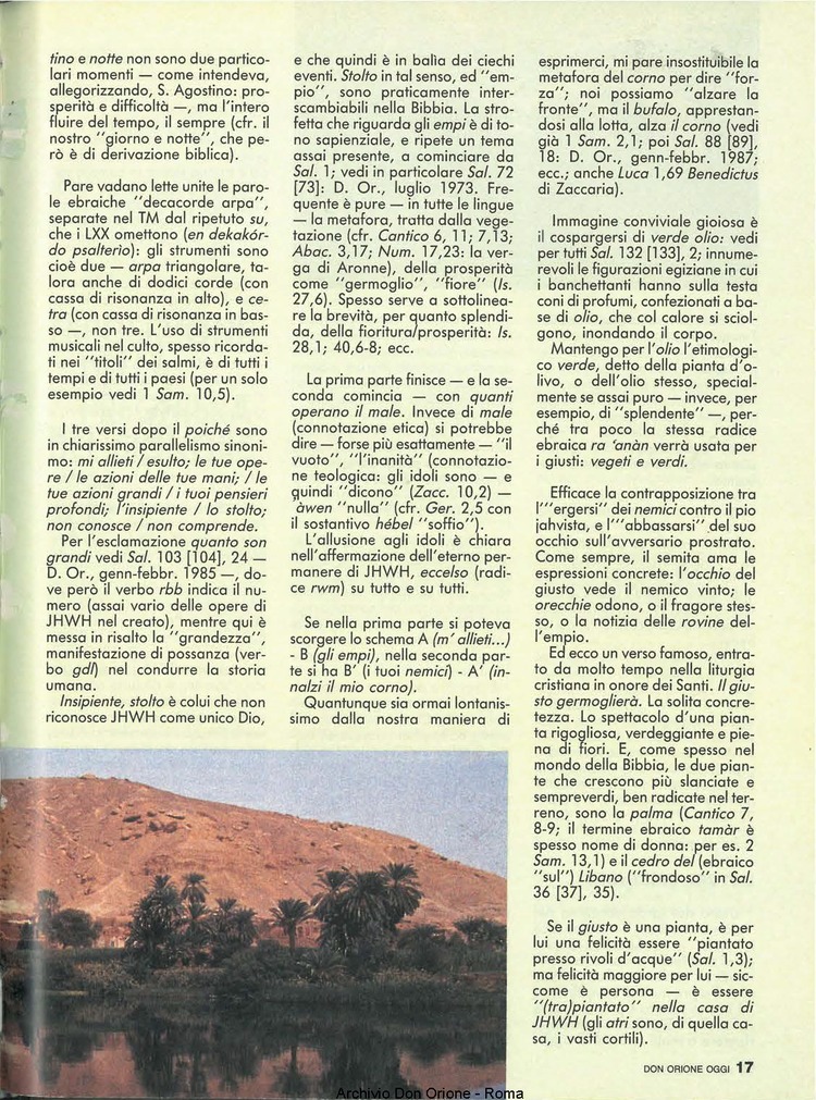 Don Orione oggi, 1990, 08, pagina 17