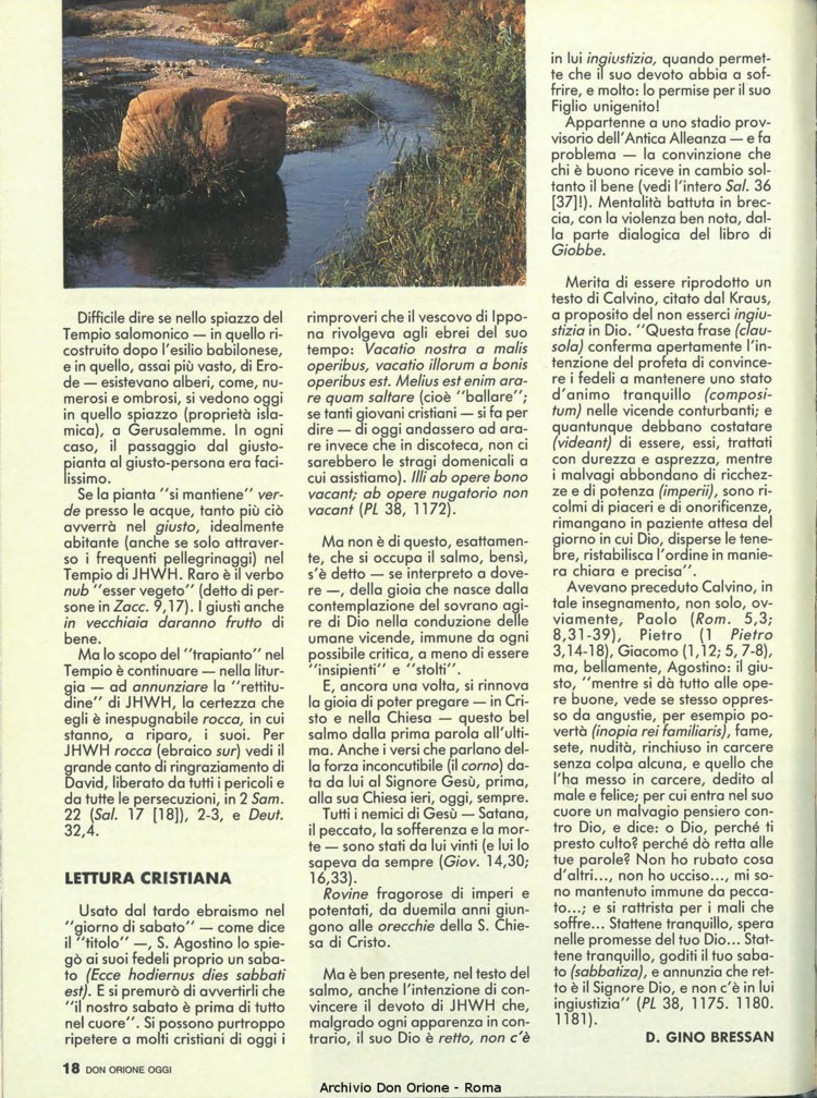 Don Orione oggi, 1990, 08, pagina 18