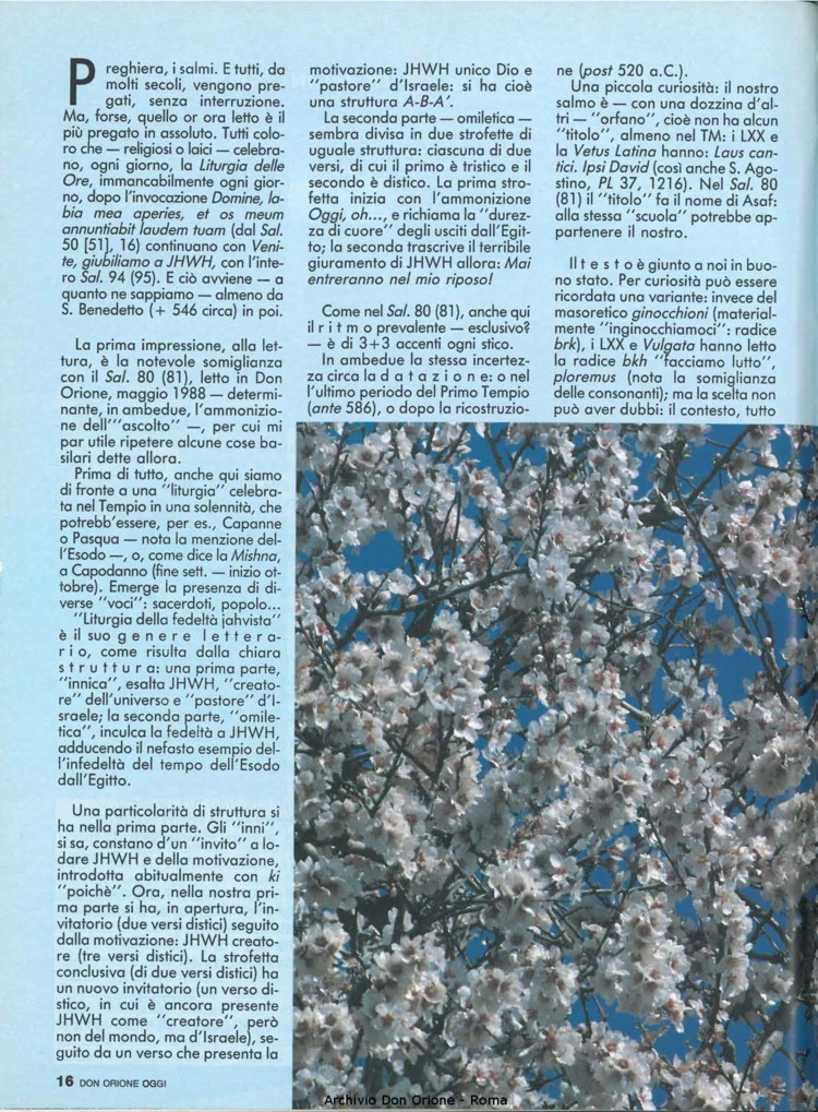 Don Orione oggi, 1990, 10, pagina 16