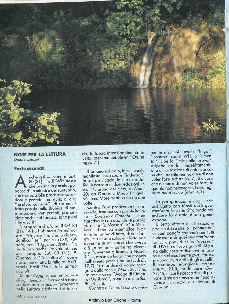 Don Orione oggi, 1991, 01, pagina 16