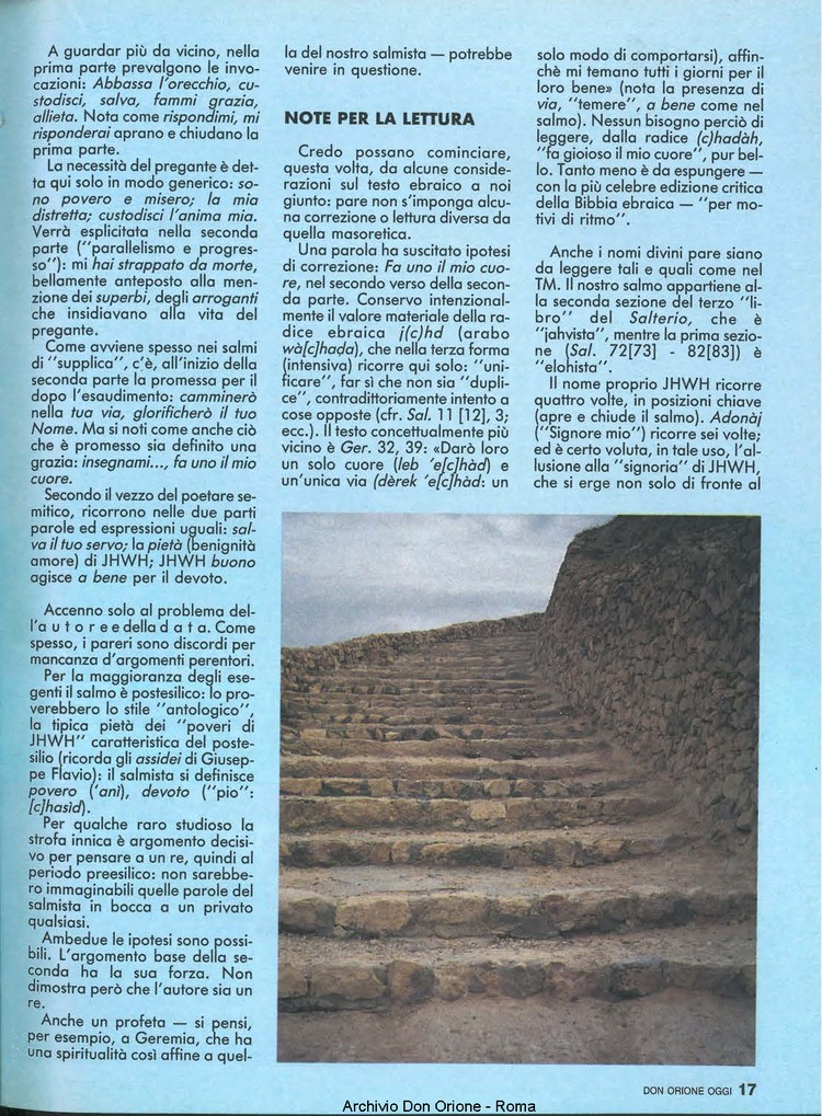 Don Orione oggi, 1991, 02, pagina 17