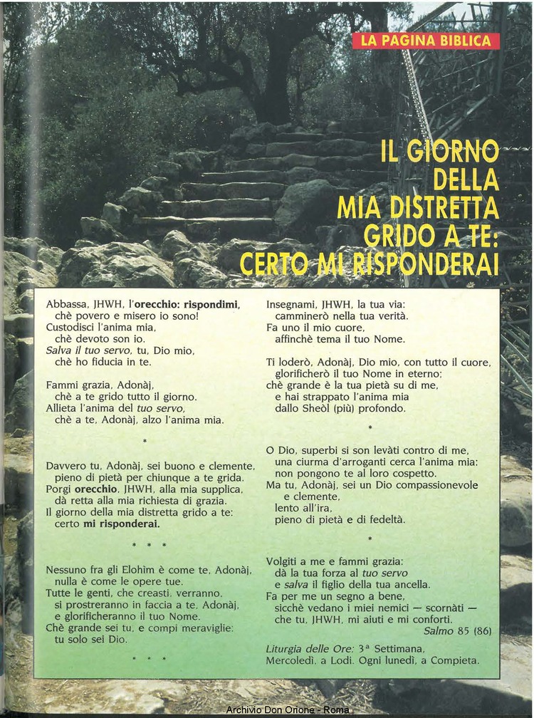 Don Orione oggi, 1991, 03, pagina 15