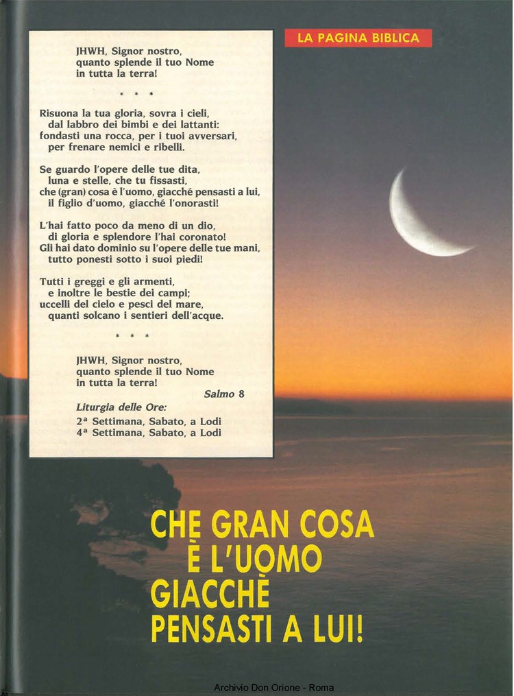 Don Orione oggi, 1991, 10, pagina 15