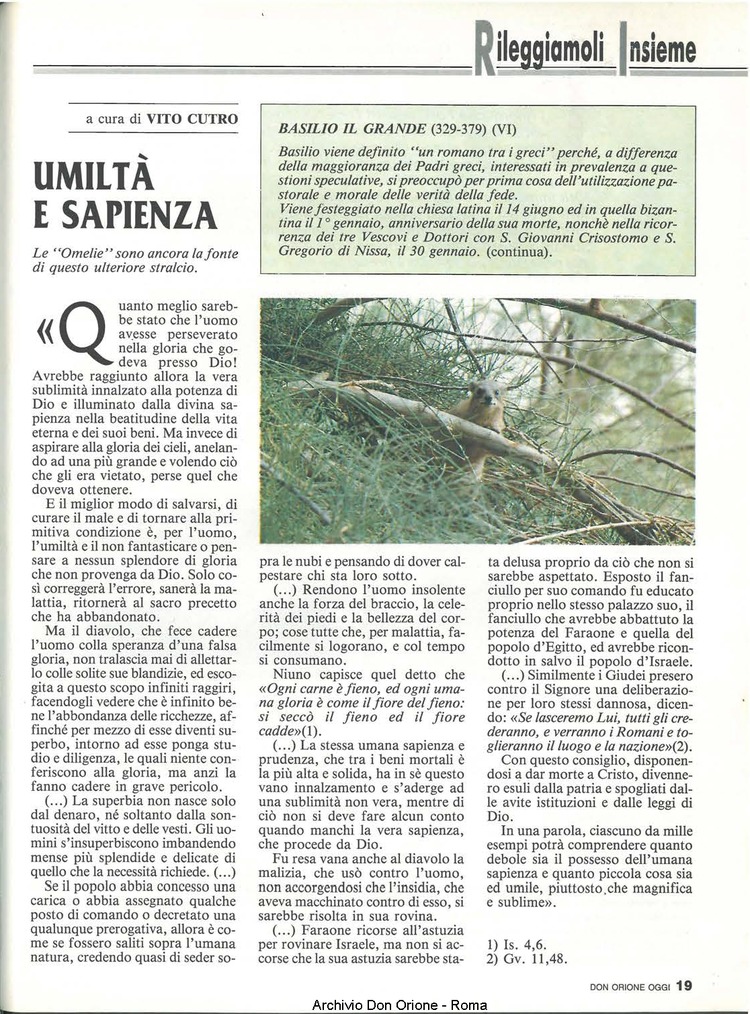 Don Orione oggi, 1991, 10, pagina 19