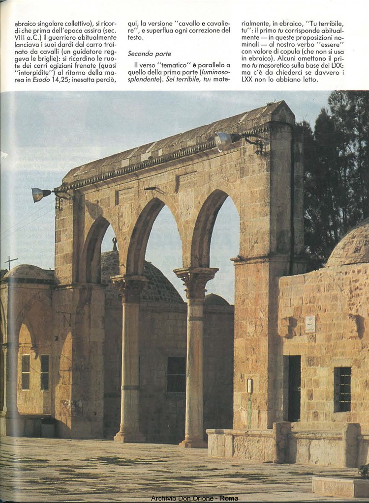Don Orione oggi, 1992, 06, pagina 17