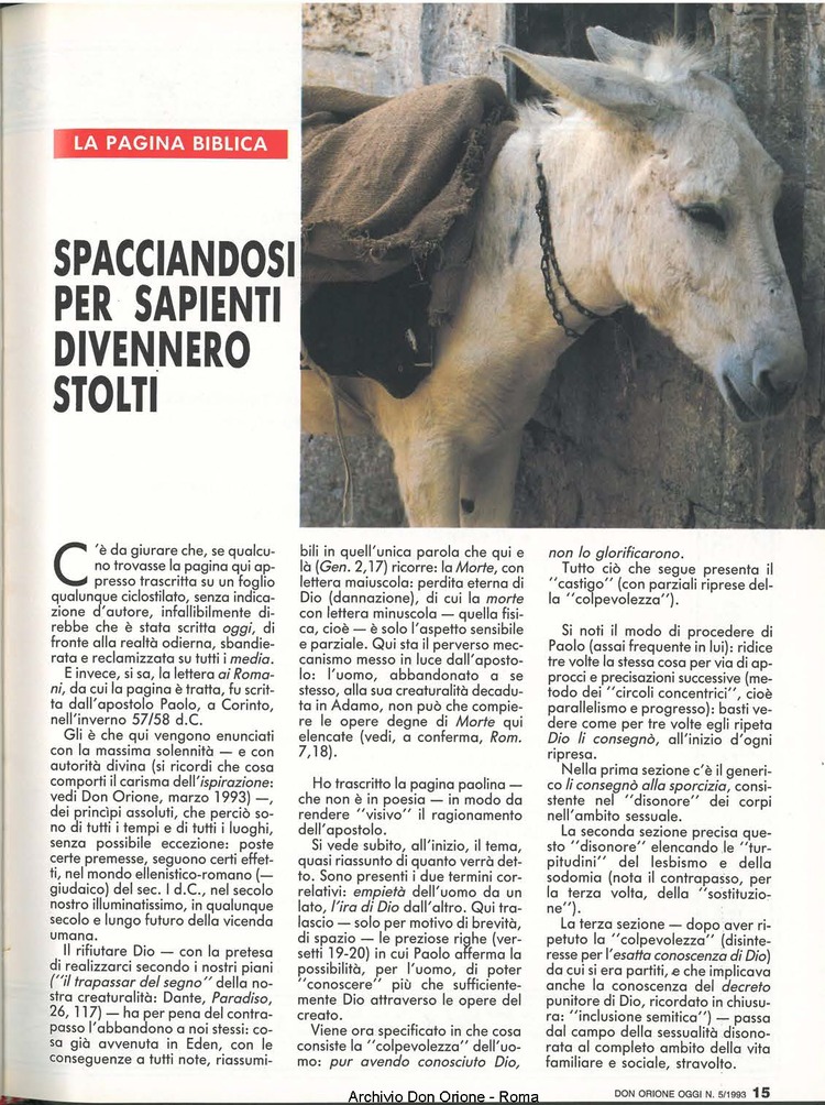 Don Orione oggi, 1993, 05, pagina 15