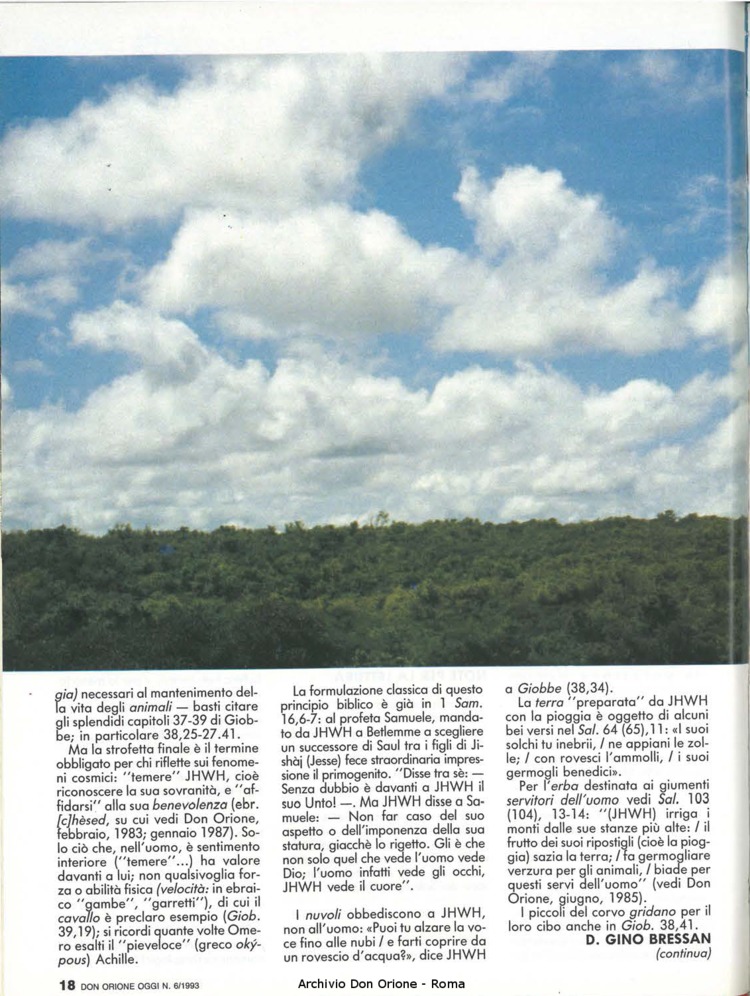 Don Orione oggi, 1993, 06, pagina 18