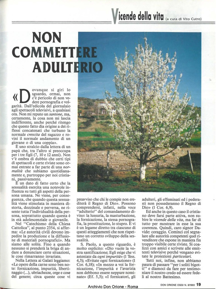 Don Orione oggi, 1993, 06, pagina 19
