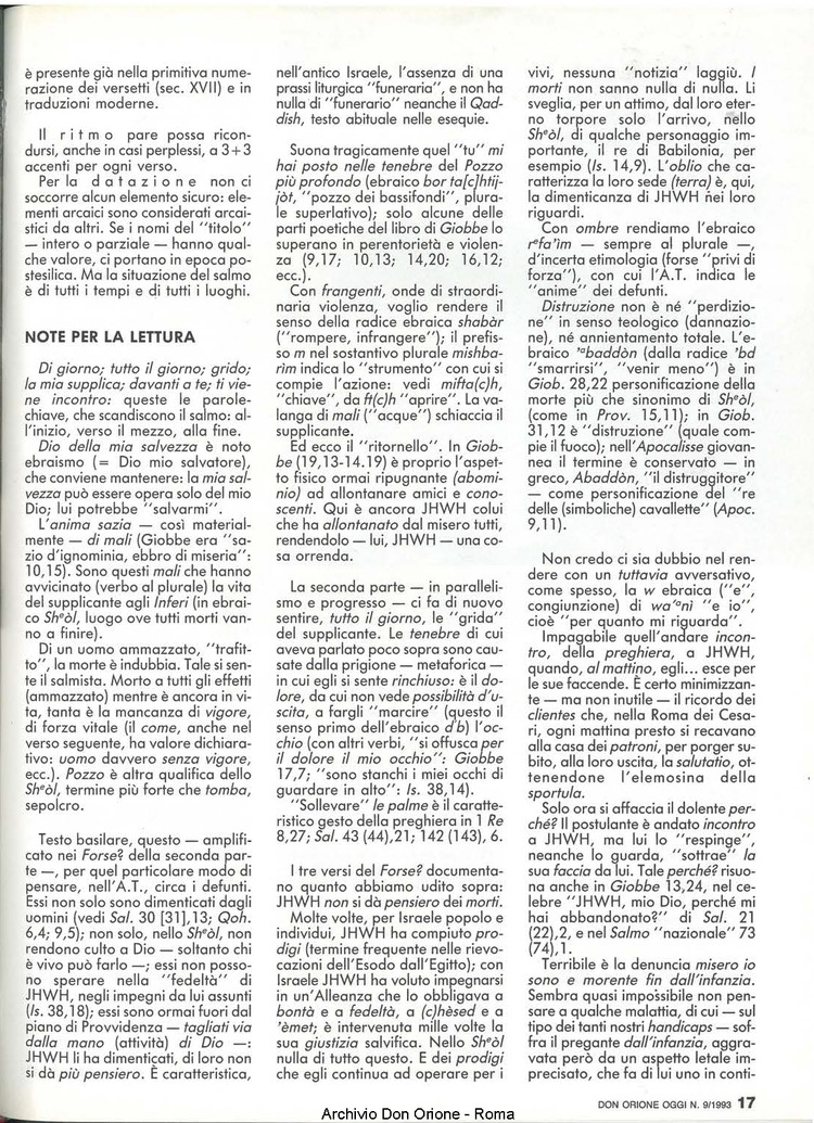 Don Orione oggi, 1993, 09, pagina 17