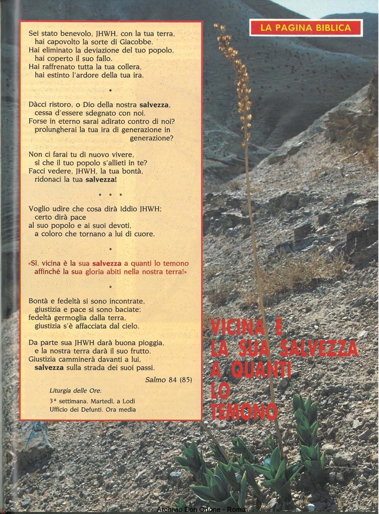 Don Orione oggi, 1993, 10, pagina 15