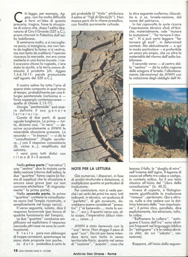Don Orione oggi, 1993, 10, pagina 16