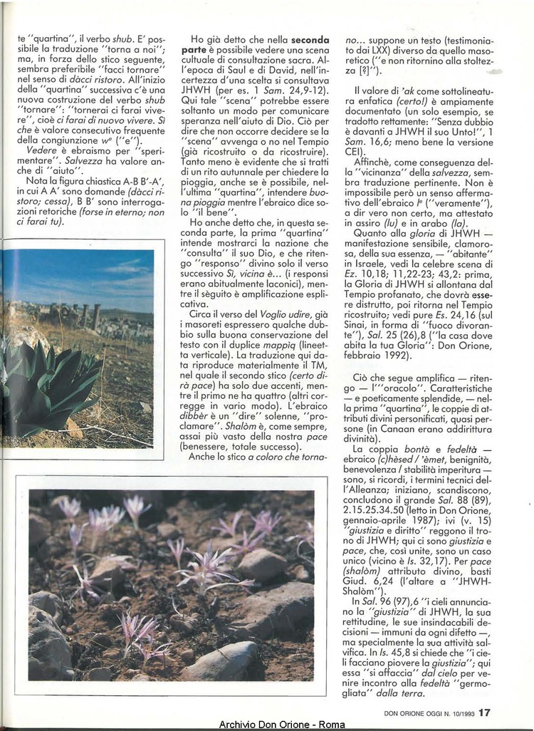 Don Orione oggi, 1993, 10, pagina 17
