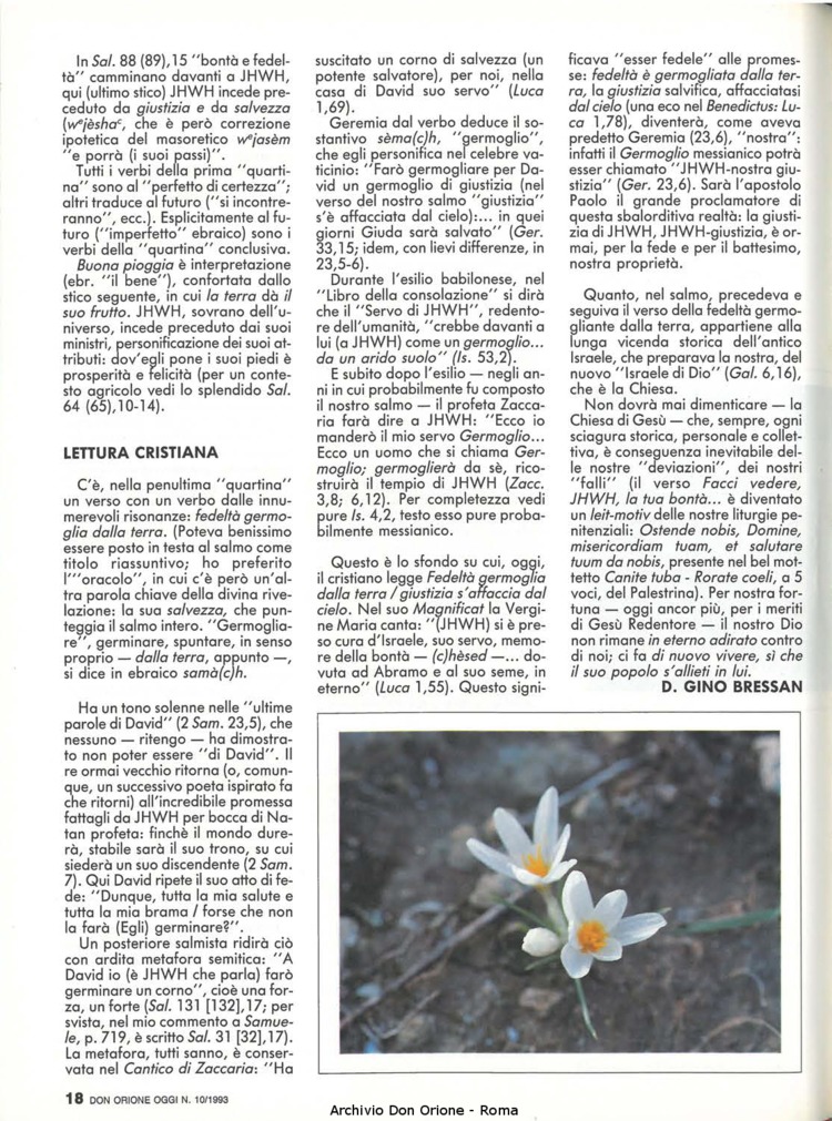 Don Orione oggi, 1993, 10, pagina 18