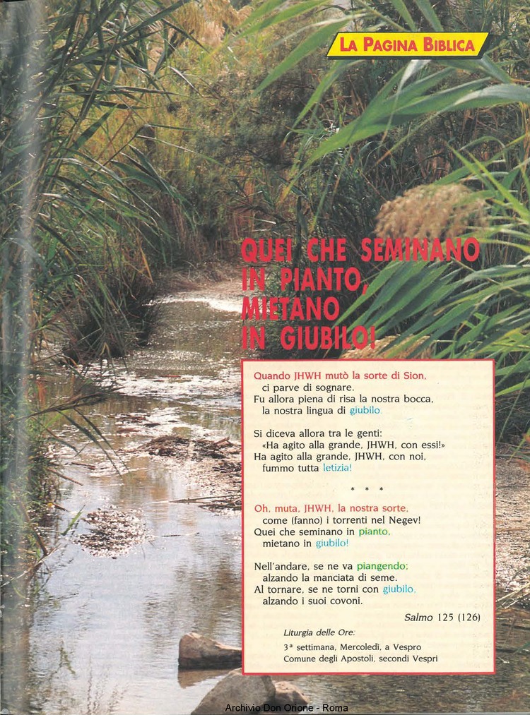 Don Orione oggi, 1994, 01, pagina 15