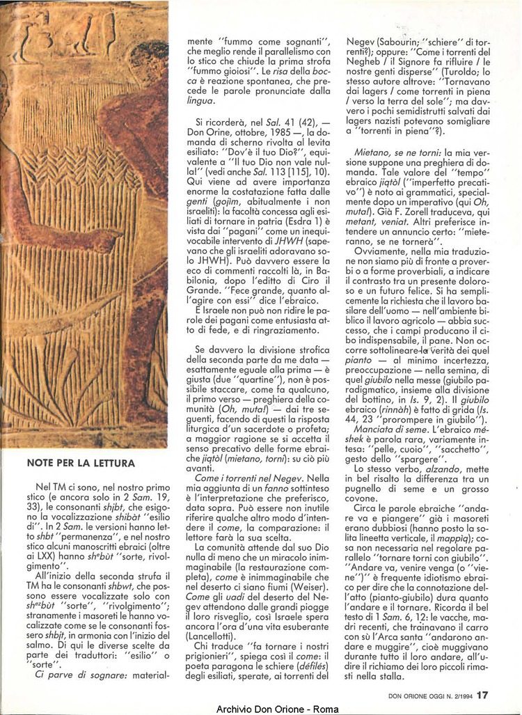 Don Orione oggi, 1994, 01, pagina 17