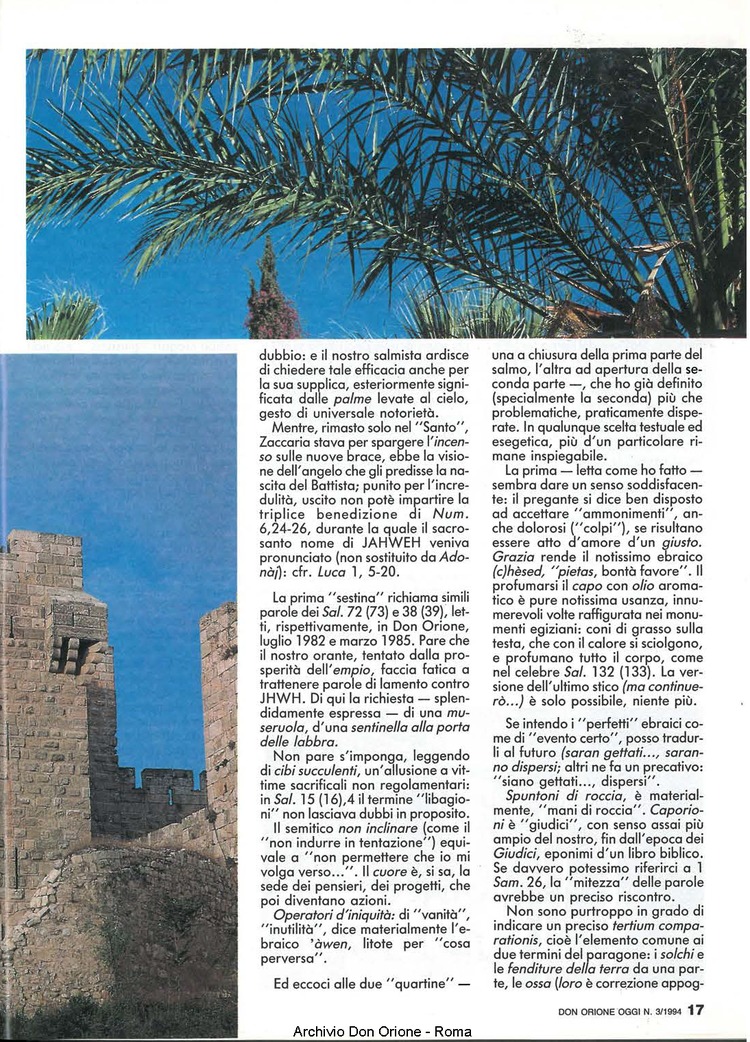 Don Orione oggi, 1994, 03, pagina 17