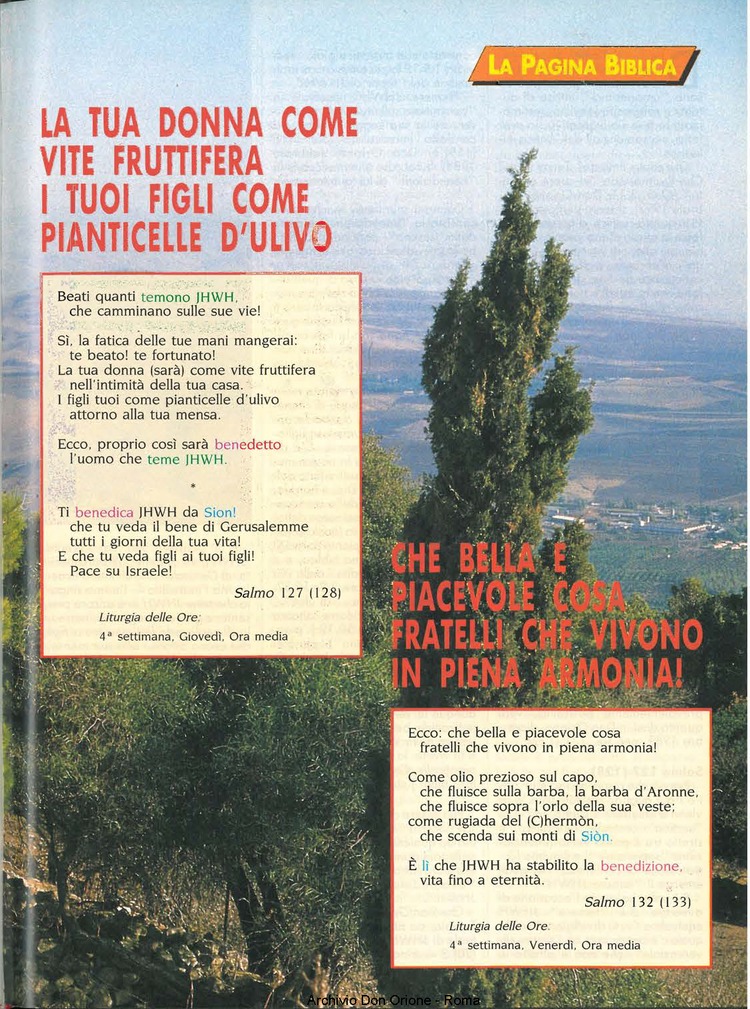 Don Orione oggi, 1994, 04, pagina 15