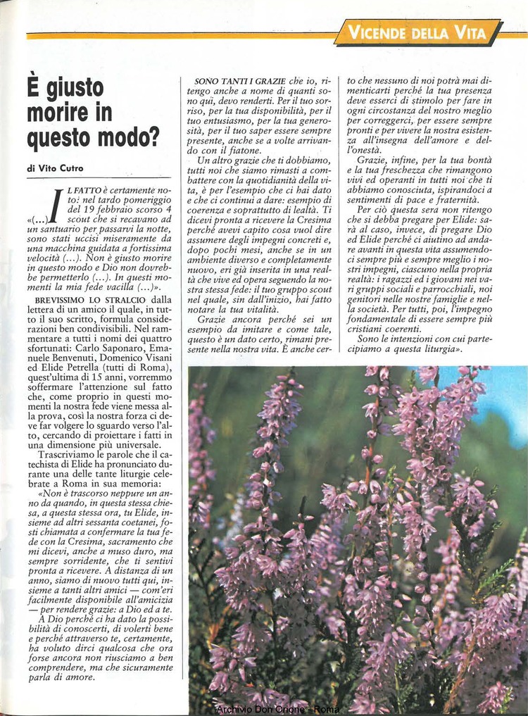 Don Orione oggi, 1994, 05, pagina 19