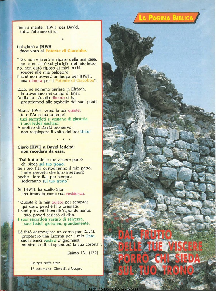 Don Orione oggi, 1994, 06, pagina 15
