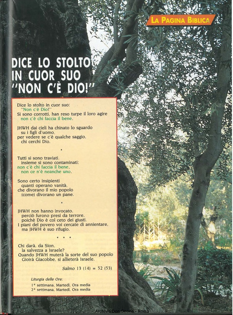 Don Orione oggi, 1994, 07, pagina 15