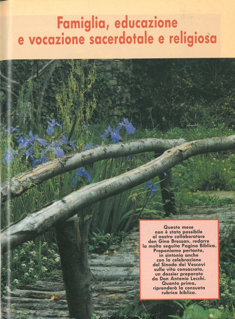 Don Orione oggi, 1994, 08, pagina 15
