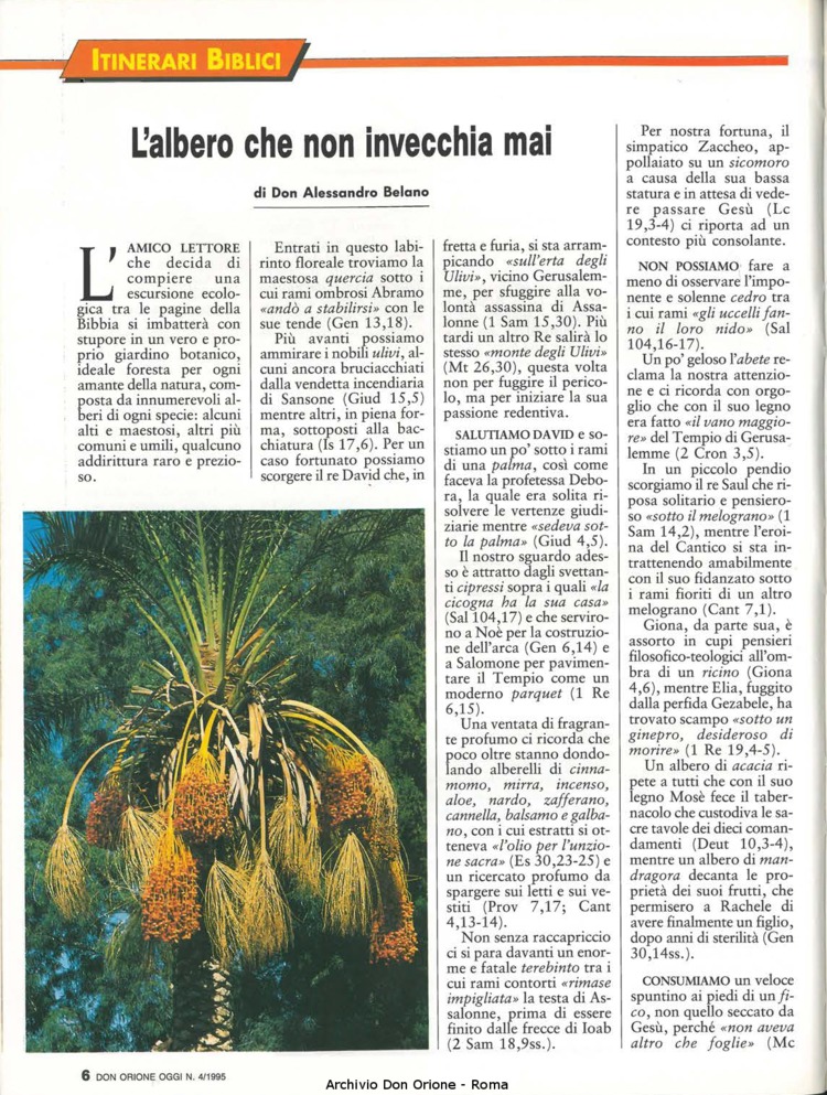 Don Orione oggi, 1995, 04, pagina 6