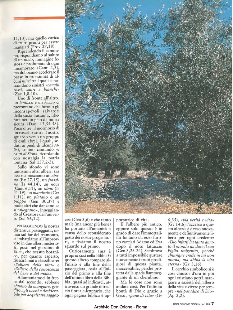 Don Orione oggi, 1995, 04, pagina 7