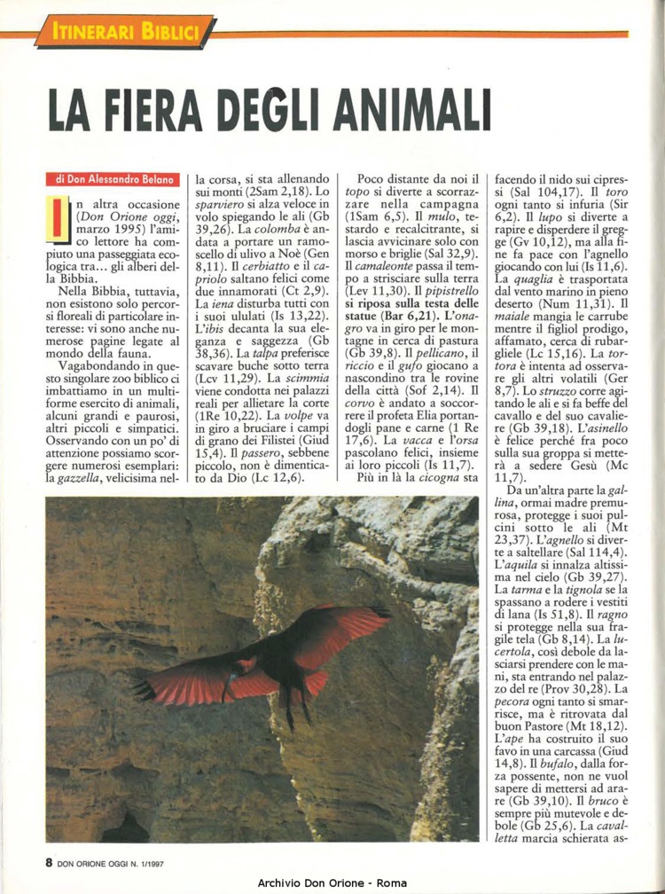 Don Orione oggi, 1997, 01, pagina 8