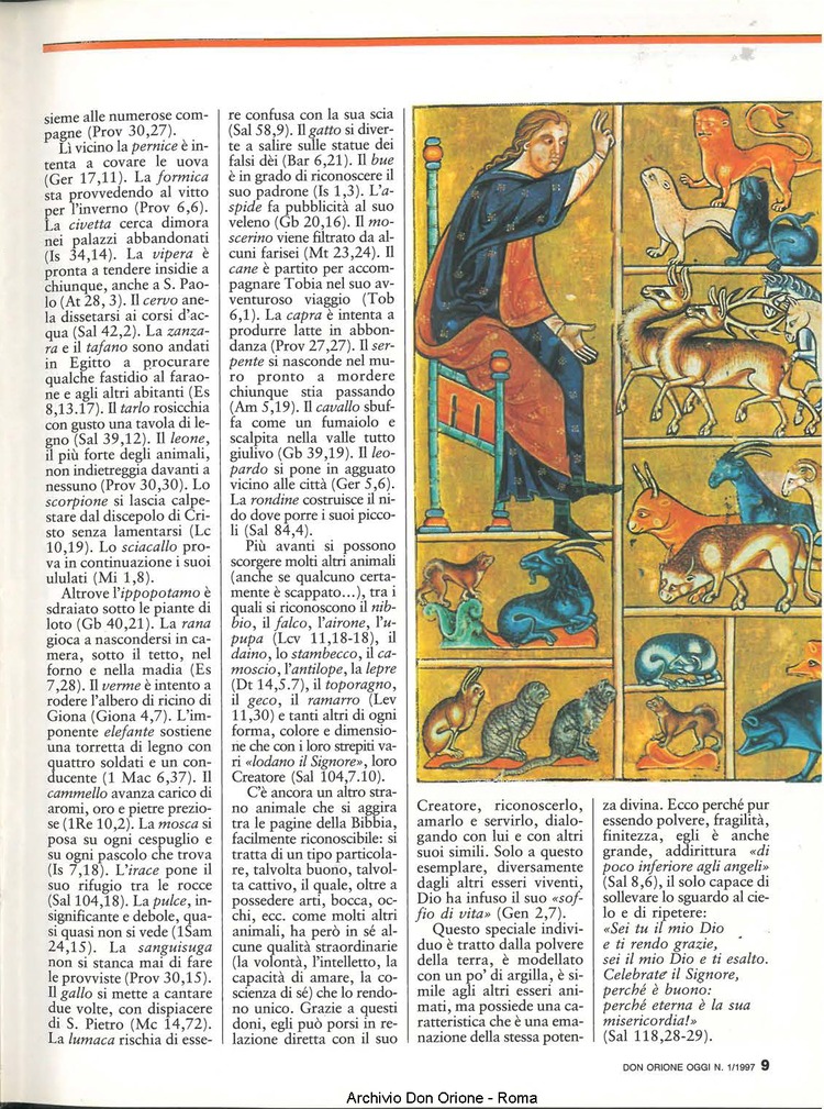 Don Orione oggi, 1997, 01, pagina 9