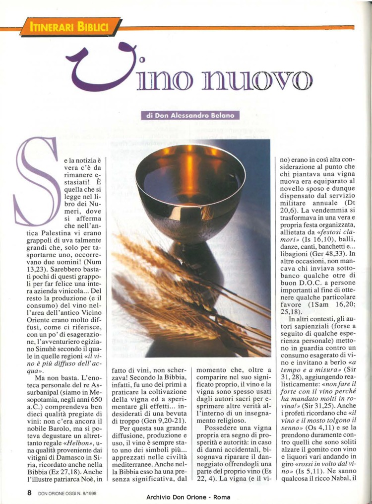 Don Orione oggi, 1998, 08, pagina 8