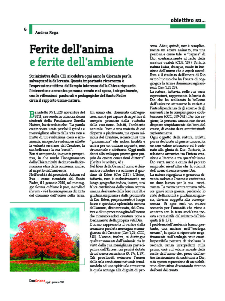 Don Orione oggi, 2013, 01, pagina 6