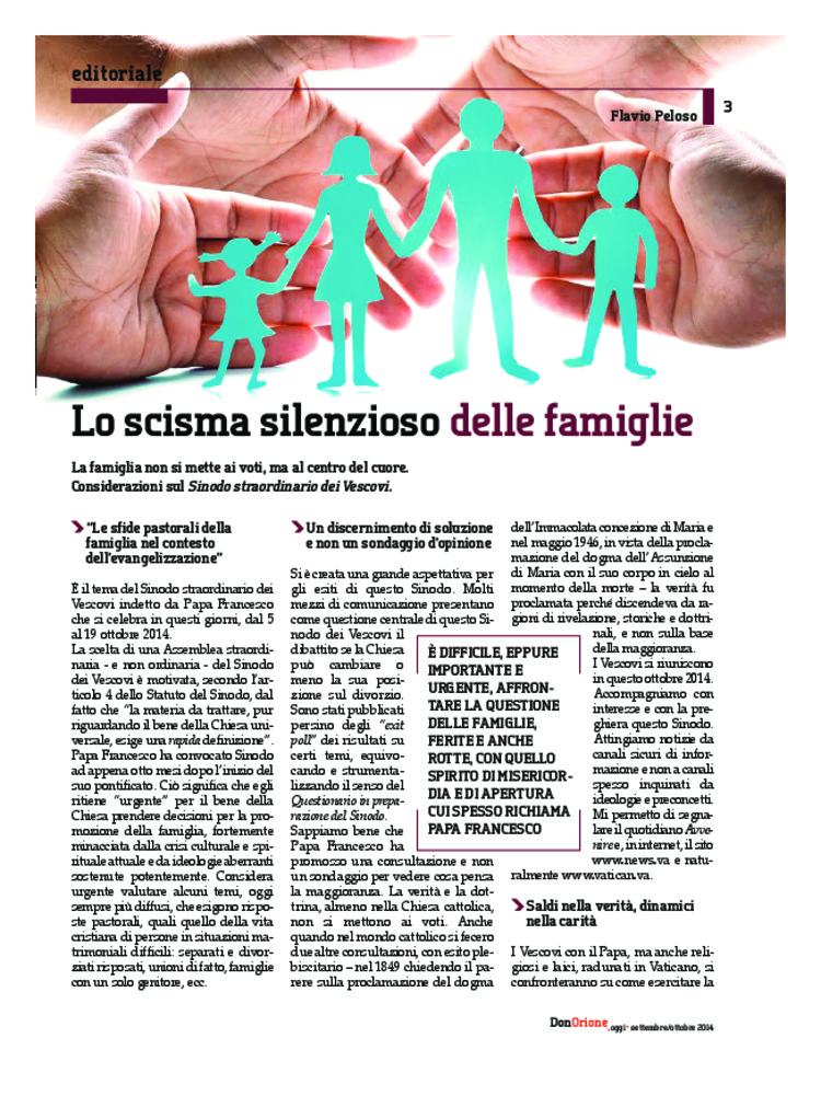 Don Orione oggi, 2014, 08, pagina 3