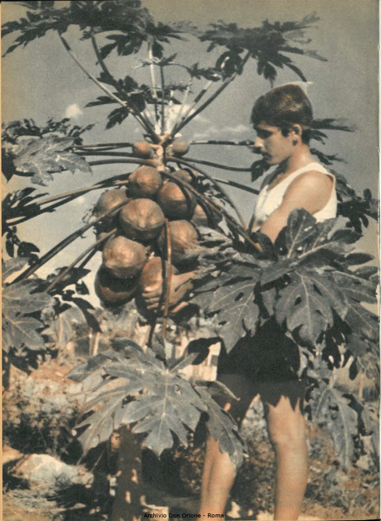 Don Orione, 66, 17, 01-12-1971, pagina 24