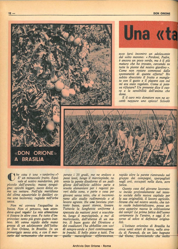 Don Orione, 68, 16, 01-11-1973, pagina 12