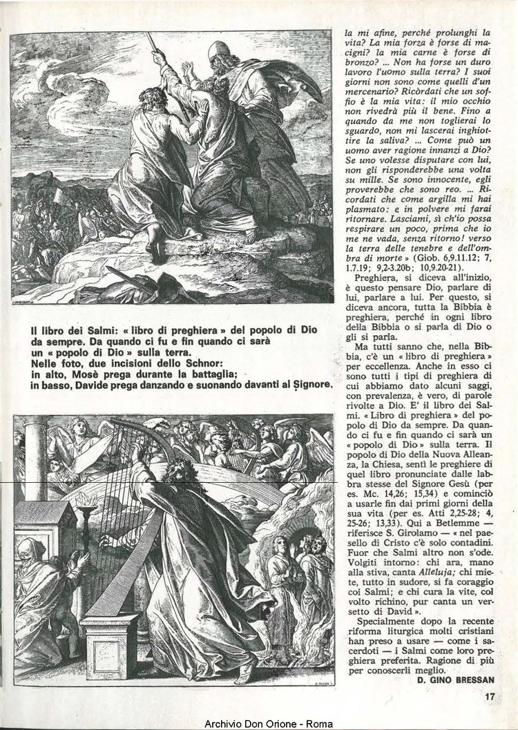 Don Orione, 77, 08, 01-10-1982, pagina 17