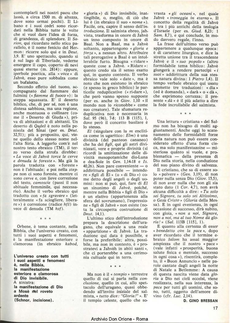 Don Orione, 77, 10, 01-12-1982, pagina 17