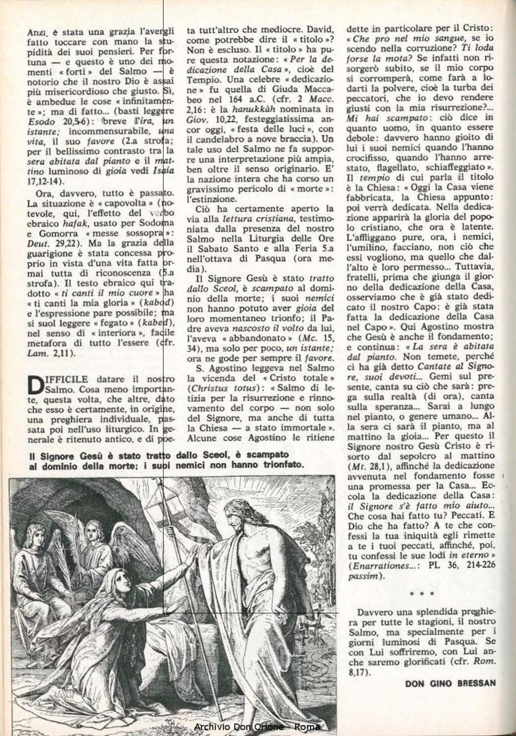 Don Orione, 78, 05, 01-05-1983, pagina 20