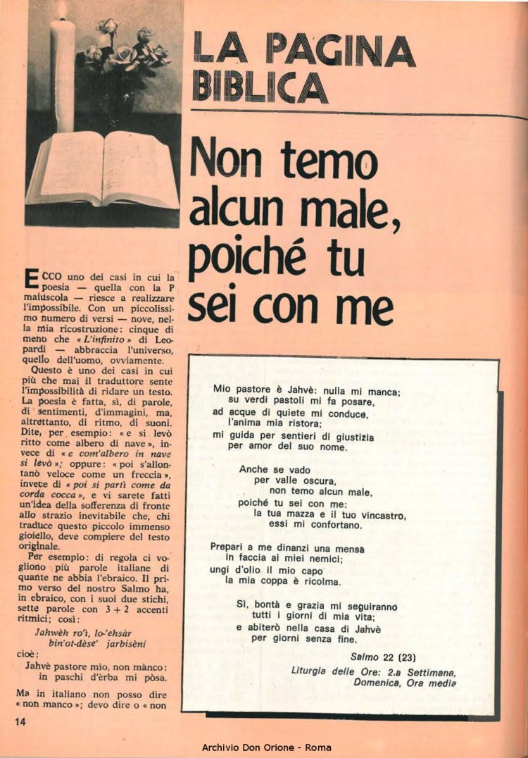 Don Orione, 78, 08, 01-10-1983, pagina 14