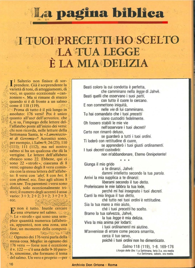 Don Orione, 79, 02, 01-02-1984, pagina 16