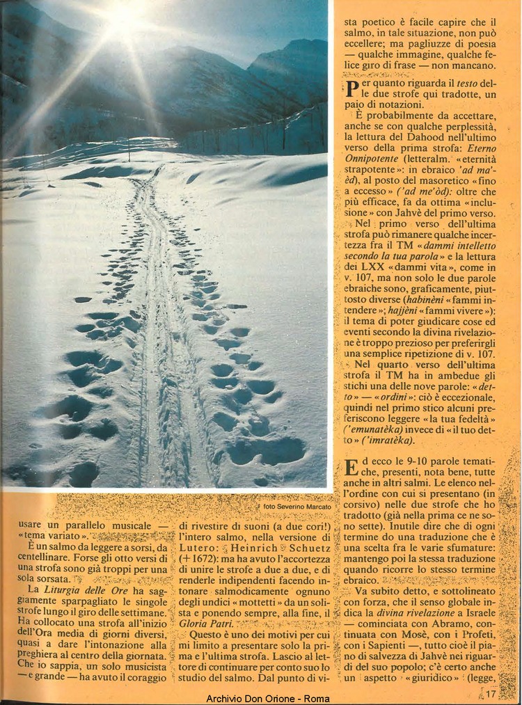 Don Orione, 79, 02, 01-02-1984, pagina 17