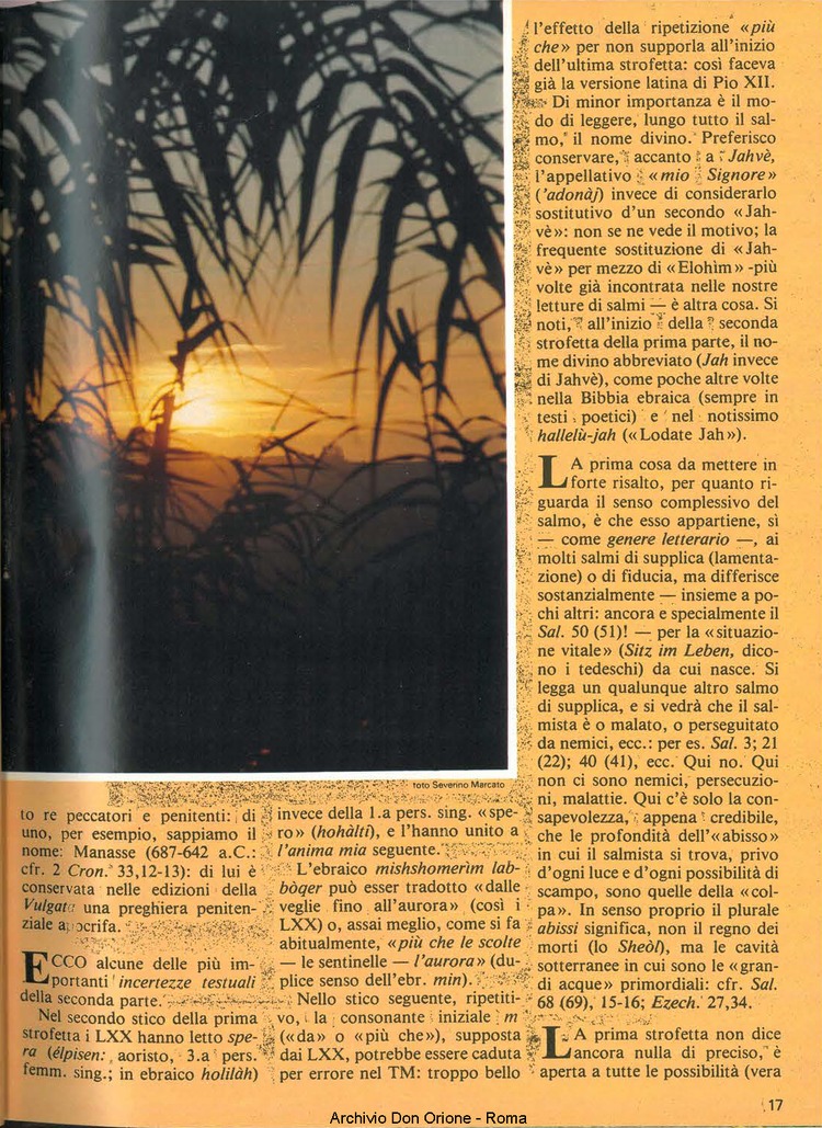 Don Orione, 79, 03, 01-03-1984, pagina 17