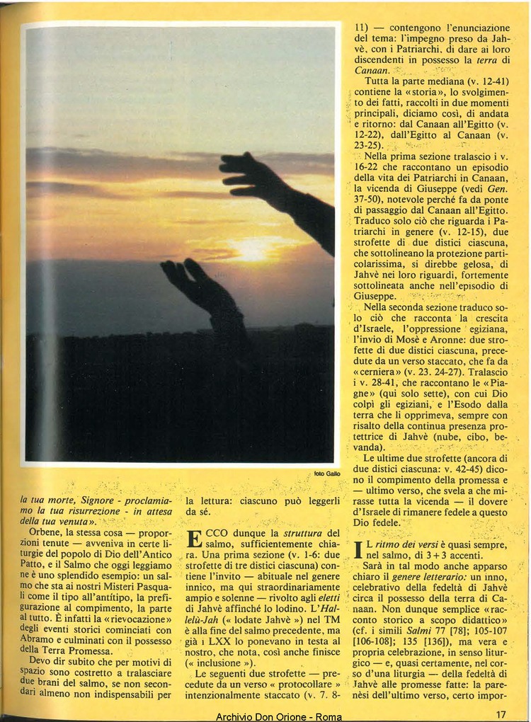 Don Orione, 79, 04, 01-04-1984, pagina 17