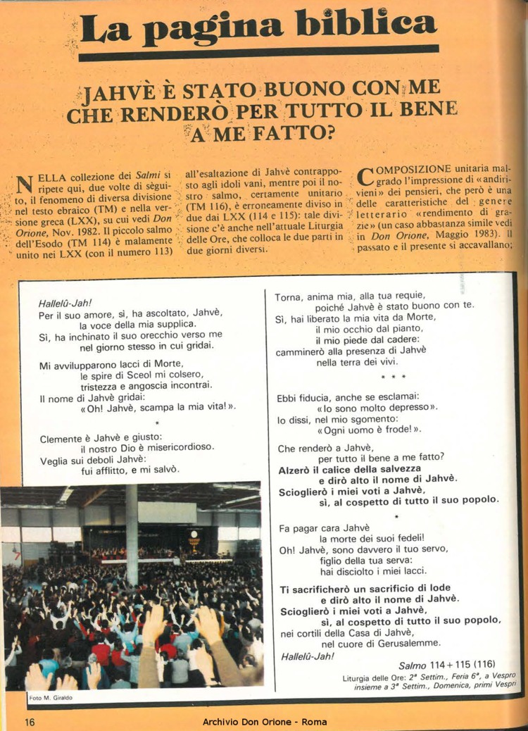Don Orione, 79, 05, 01-05-1984, pagina 16