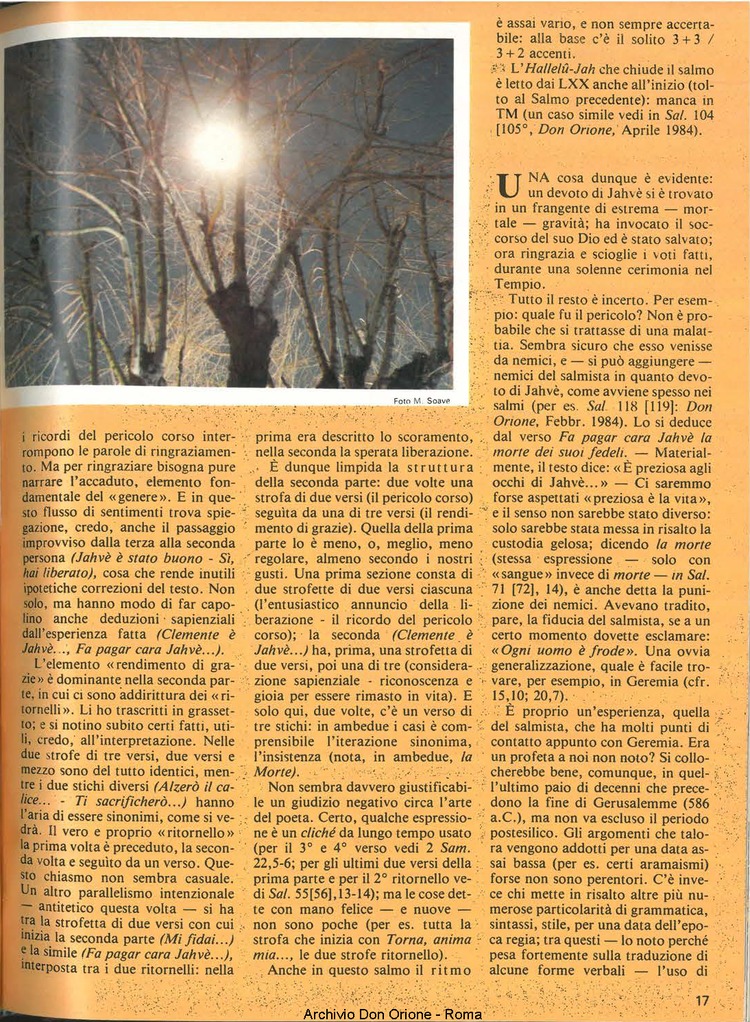 Don Orione, 79, 05, 01-05-1984, pagina 17
