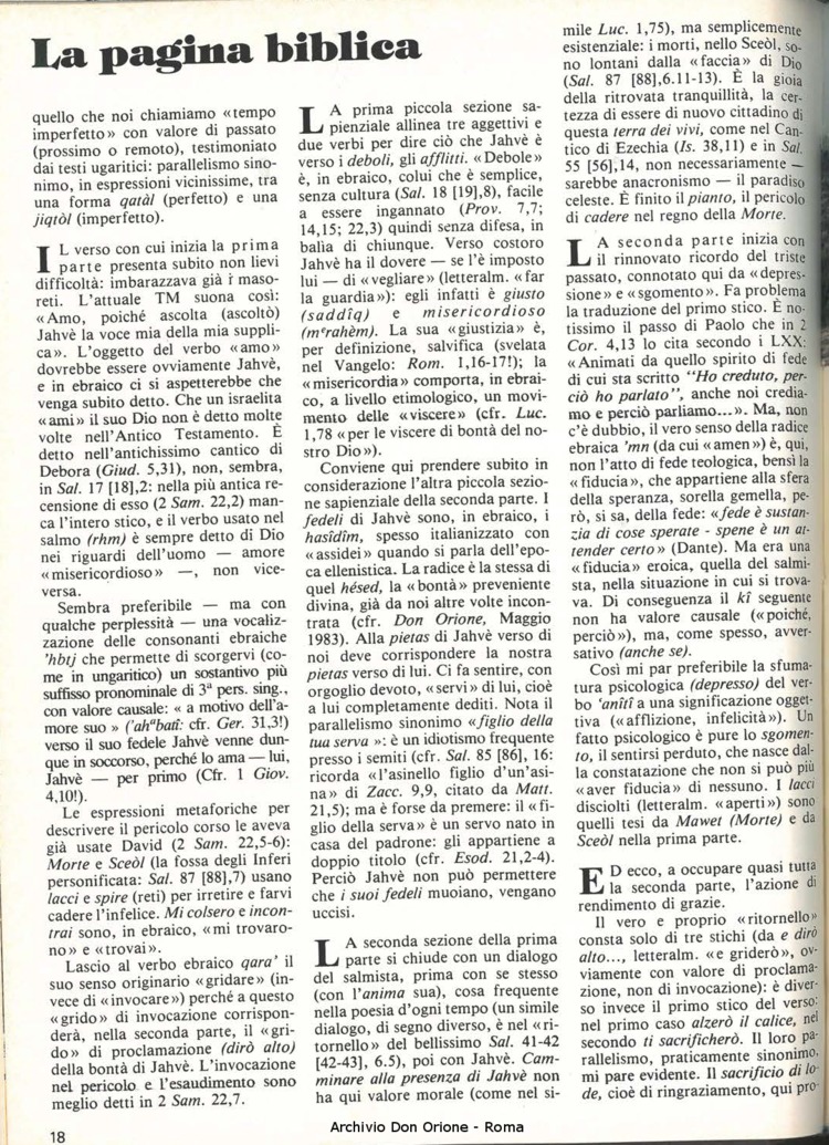 Don Orione, 79, 05, 01-05-1984, pagina 18
