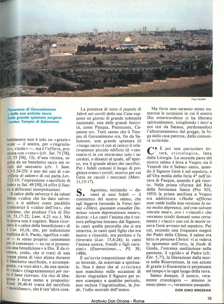 Don Orione, 79, 05, 01-05-1984, pagina 19