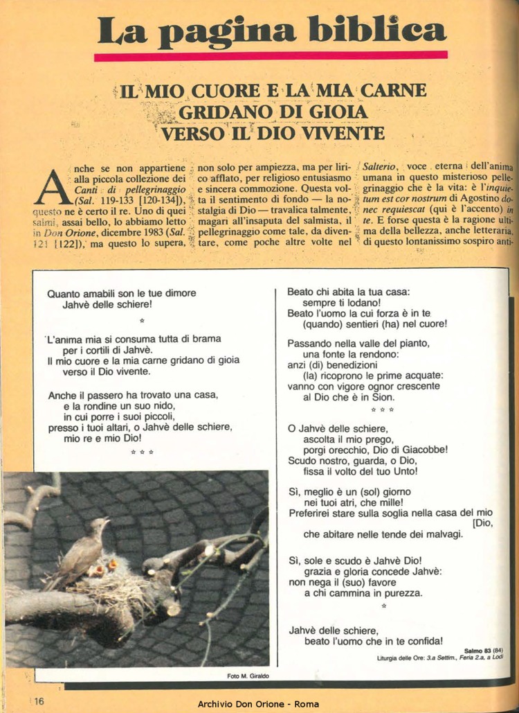 Don Orione, 79, 06, 01-06-1984, pagina 16
