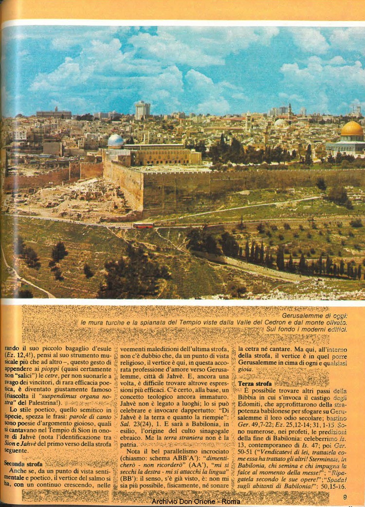 Don Orione, 79, 09, 01-11-1984, pagina 9